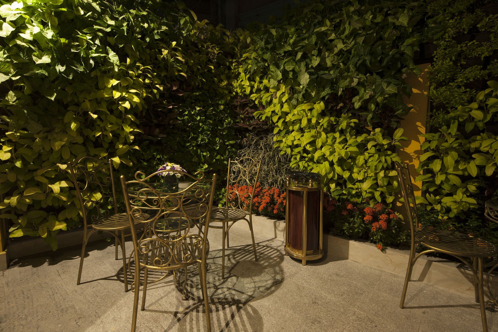 아침 식사, 점심 식사, 저녁 식사 제공, 현지 및 세계 요리