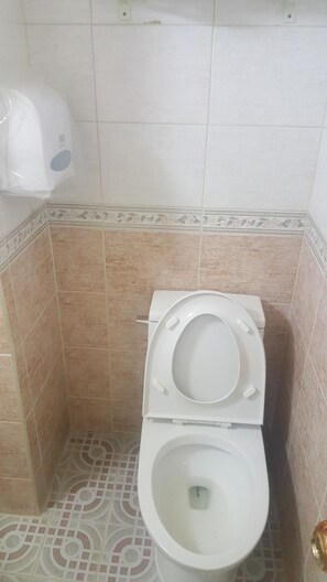 Ducha, artículos de tocador gratuitos, secador de pelo