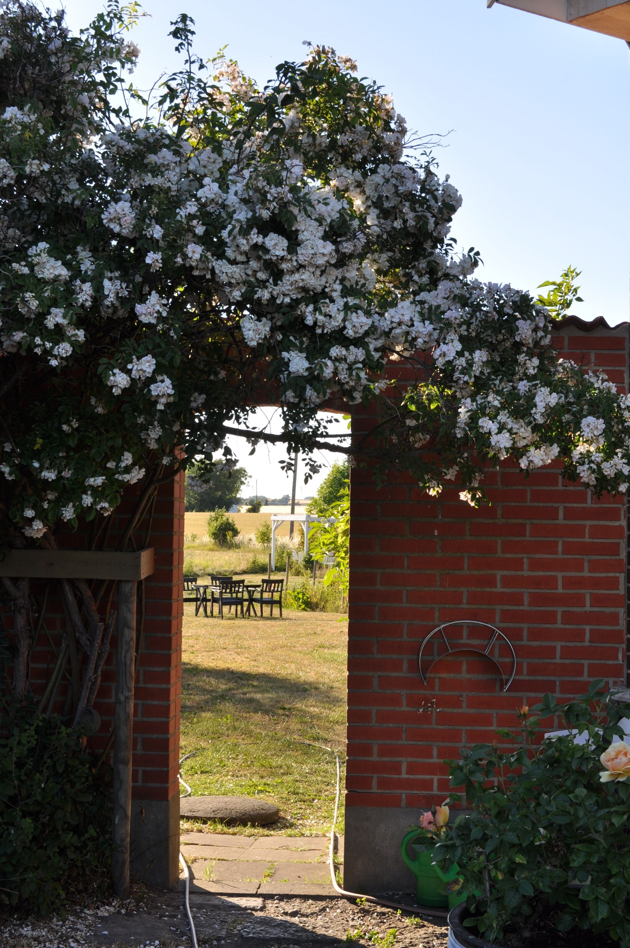 Een bogenpoort van baksteen, versierd met witte bloemen, leidt naar een terras met tafels en stoelen.