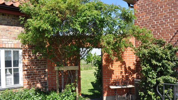 A brick building with a garden area, a wooden pergola, and a small table with chairs. - Villa Sandby Bed and Breakfast (Borrby)