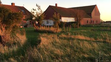 Ăreas de la propiedad