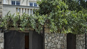 Property entrance - Villa Klados (Mylopotamos)