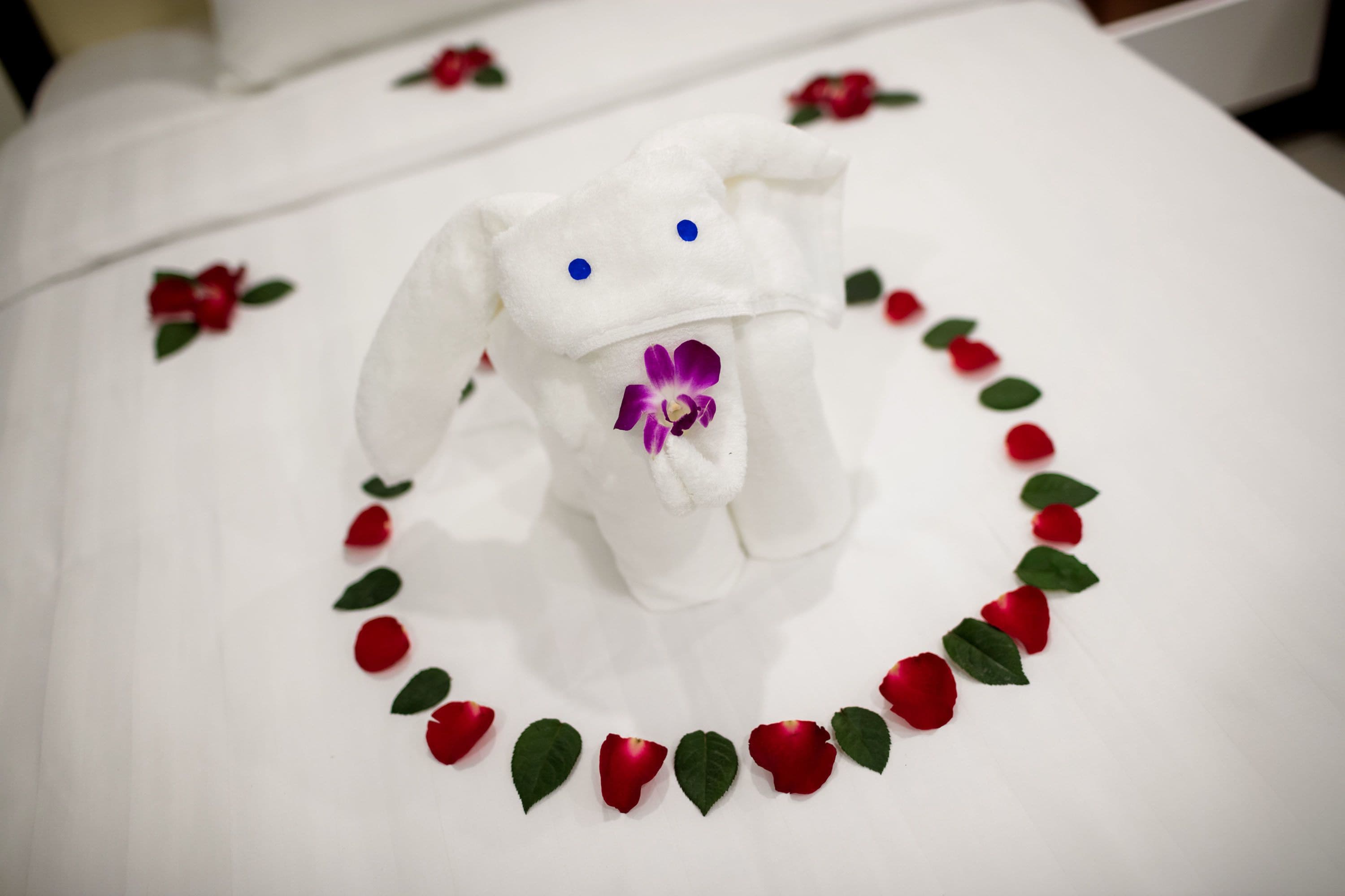 Photo - Dream Central Hotel & Spa - Hanoi Old Quarter