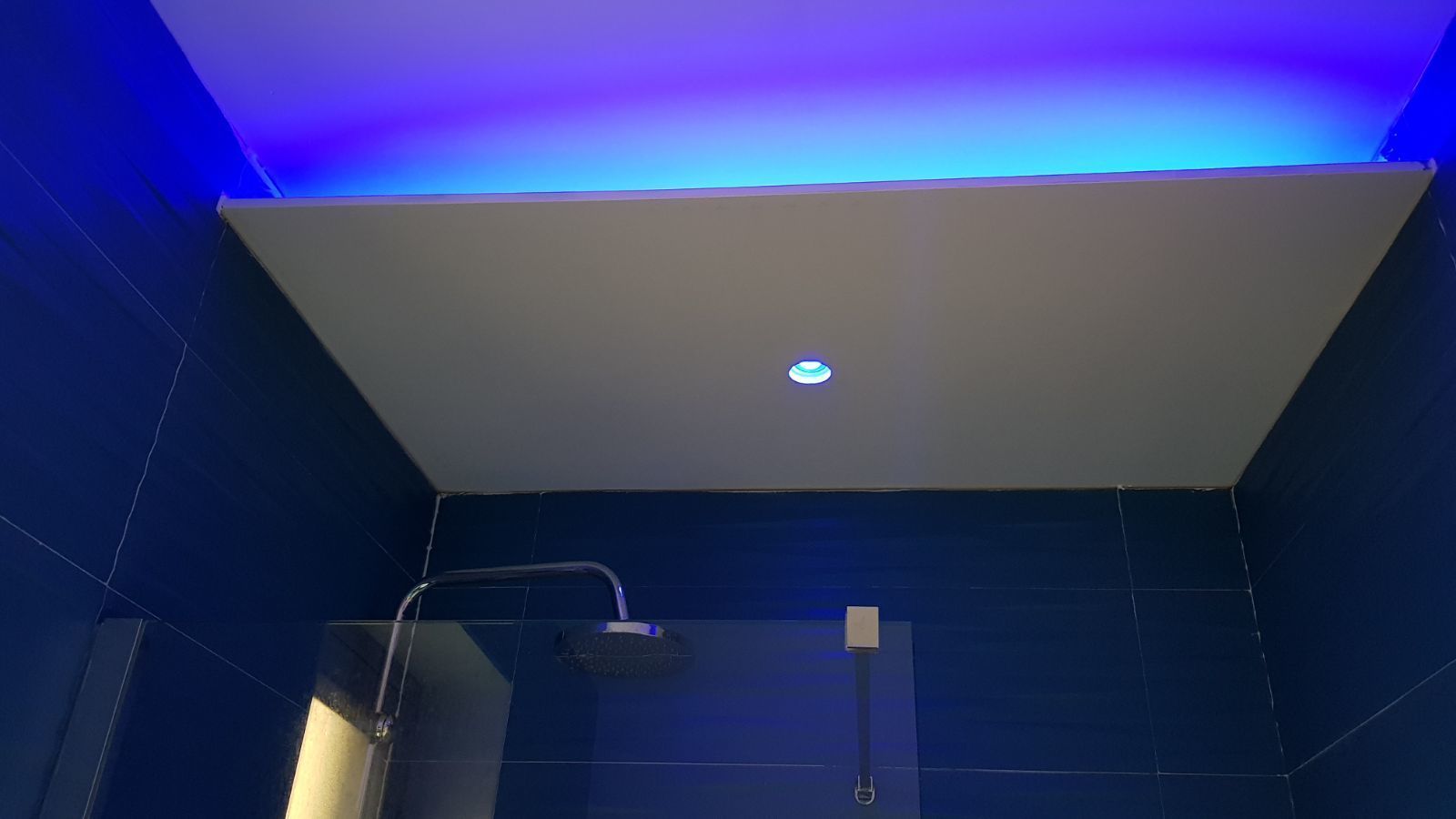 Een moderne badkamer met donkerblauwe tegels, een douche met handdouche en een plafondlamp.