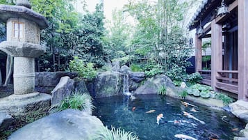 Jardín