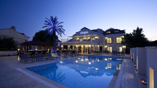 Un hotel con piscina, sillas de descanso y una palmera.