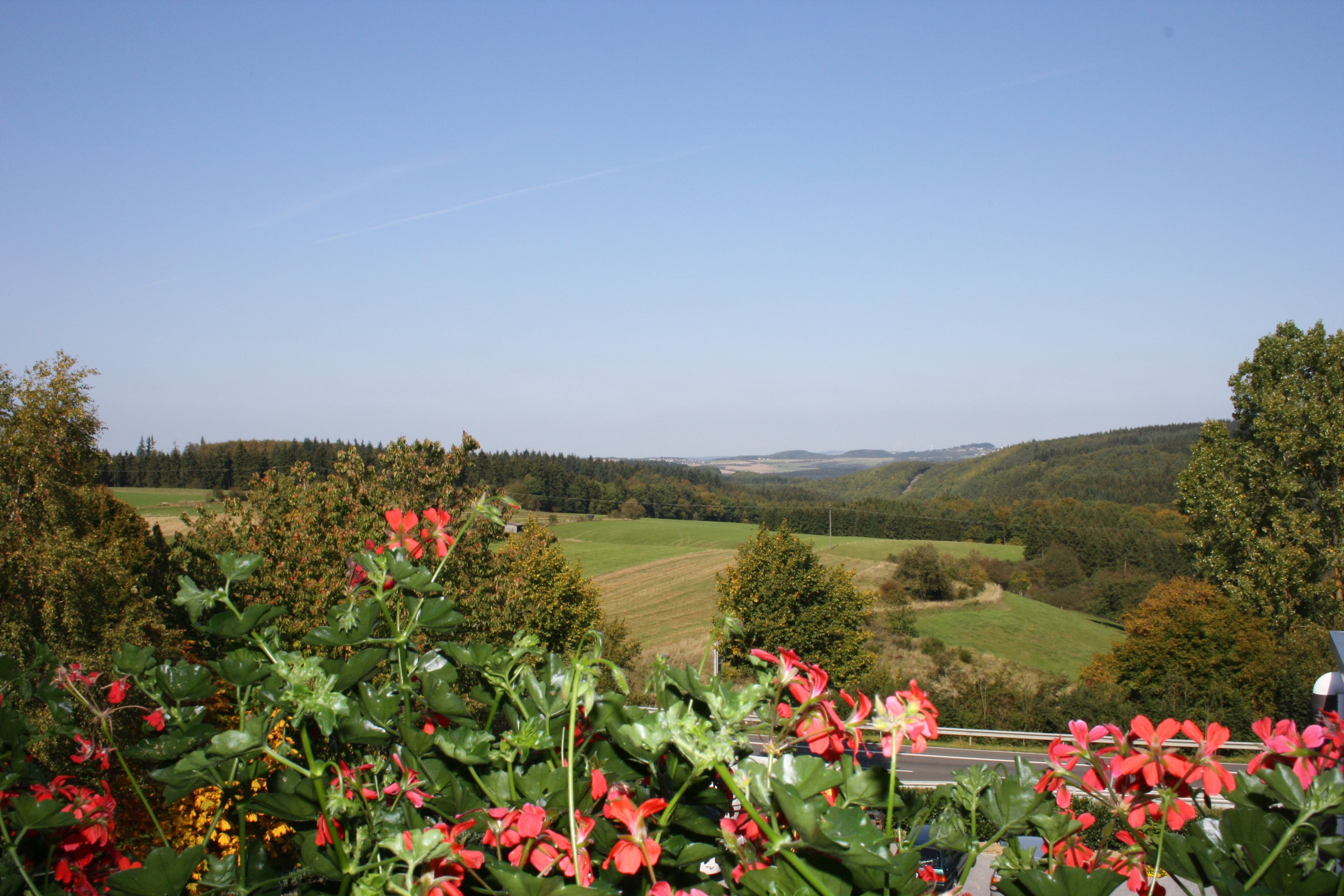 standard double or twin room | view from property