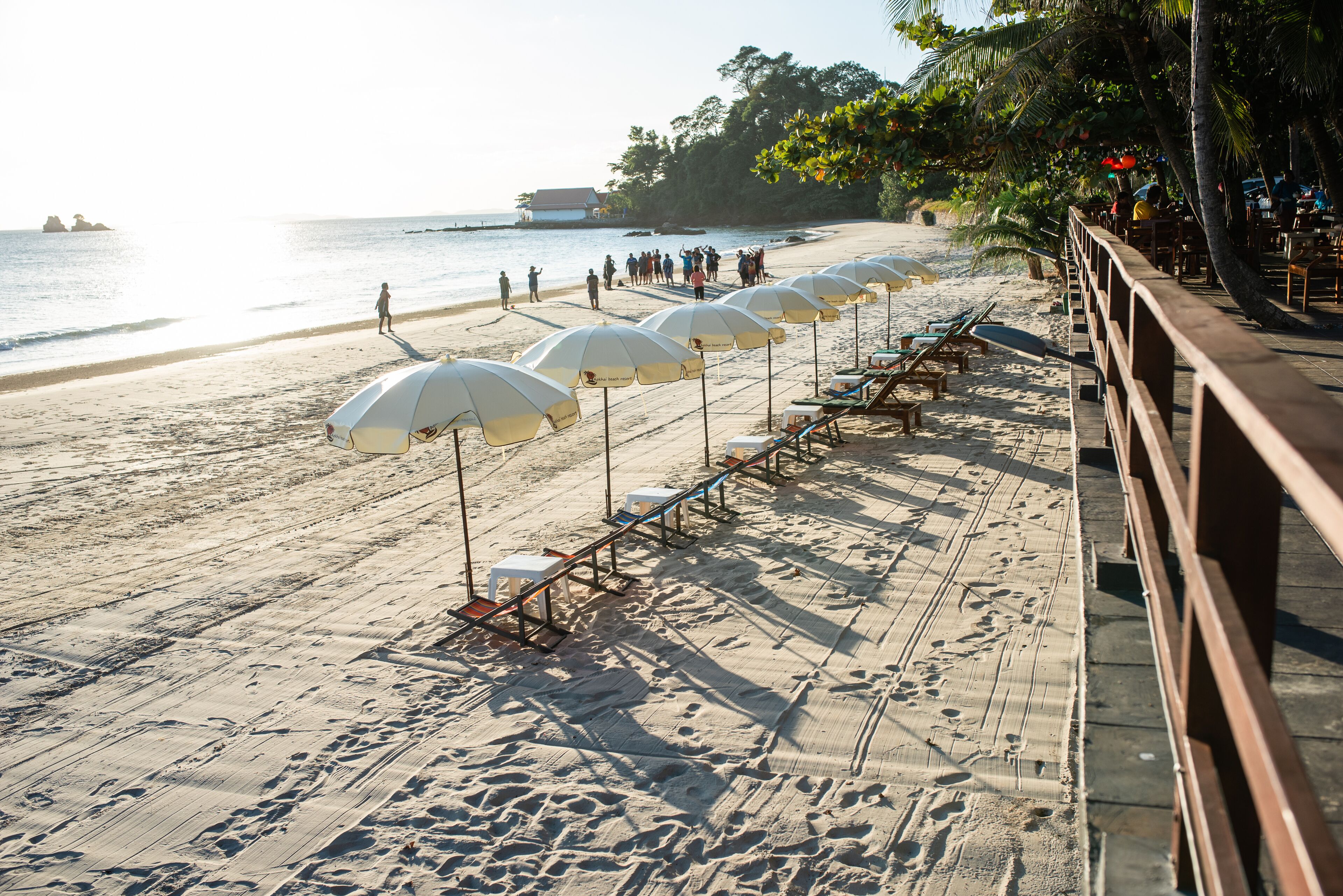 A beach with rows of white umbrellas and wooden lounge chairs, a wooden walkway, and a view of the ocean.