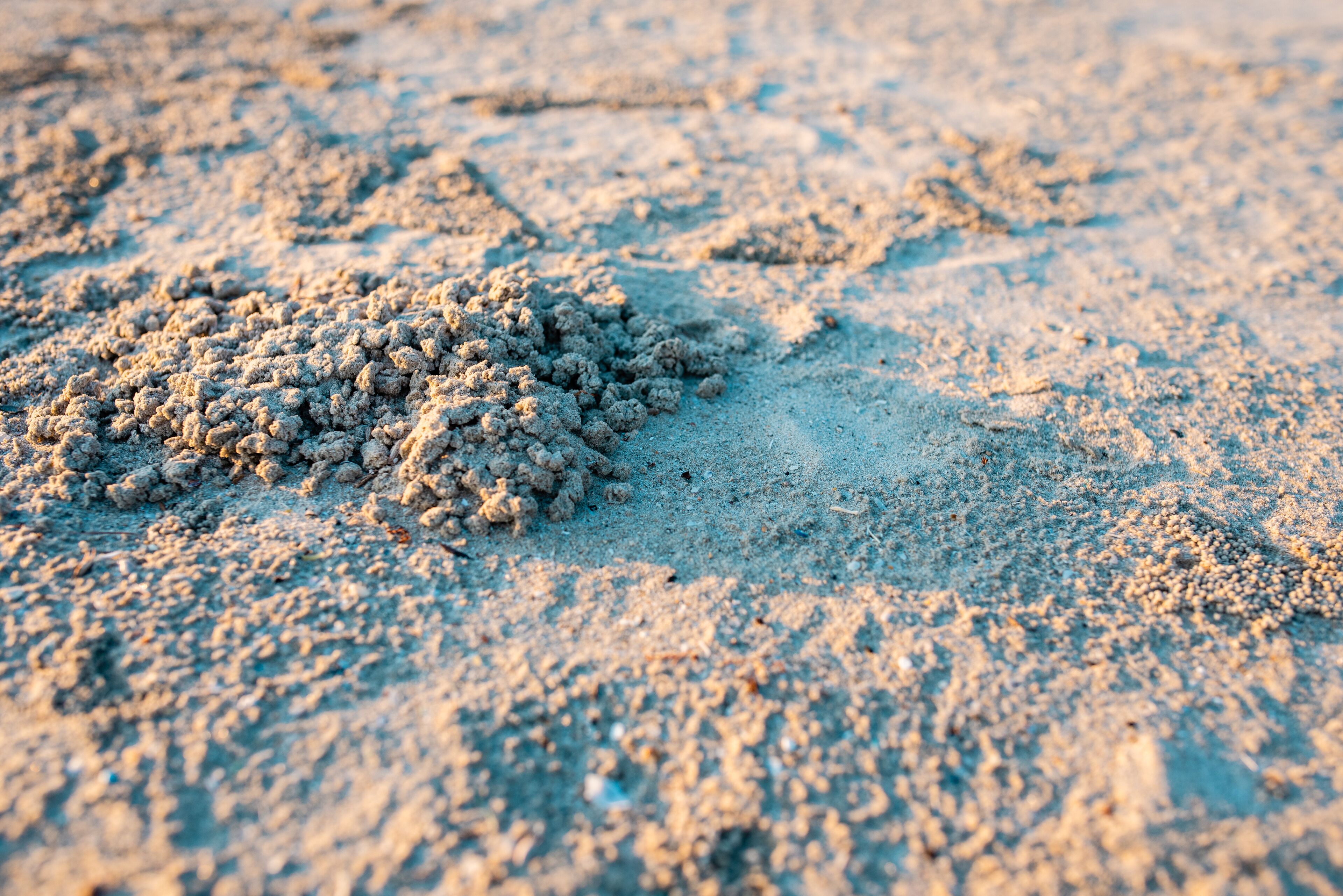 private beach, white sand