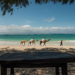 On the beach, sun-loungers, beach towels, scuba diving