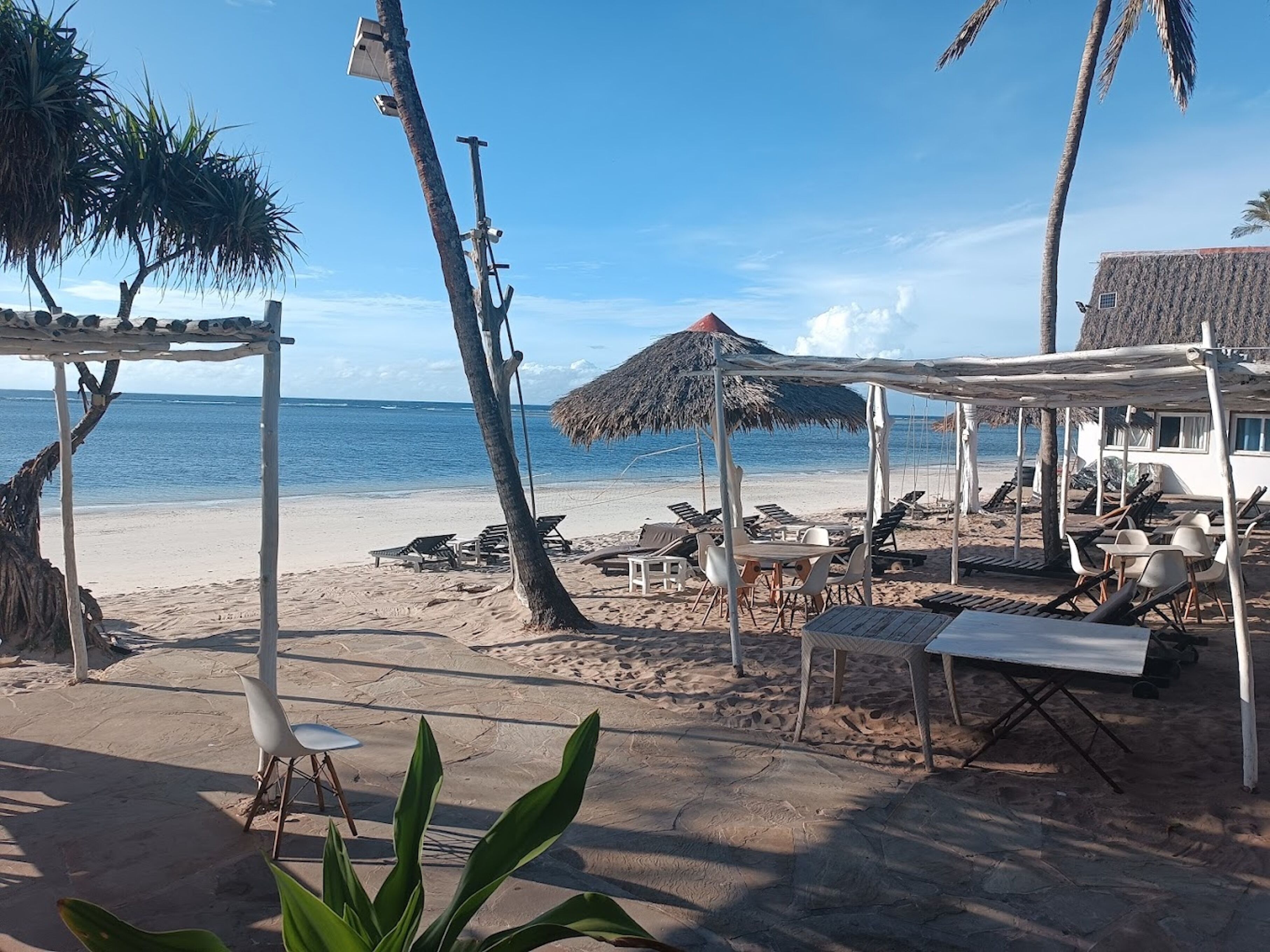 A beach with thatched umbrellas, lounge chairs, and a white building with a red roof.