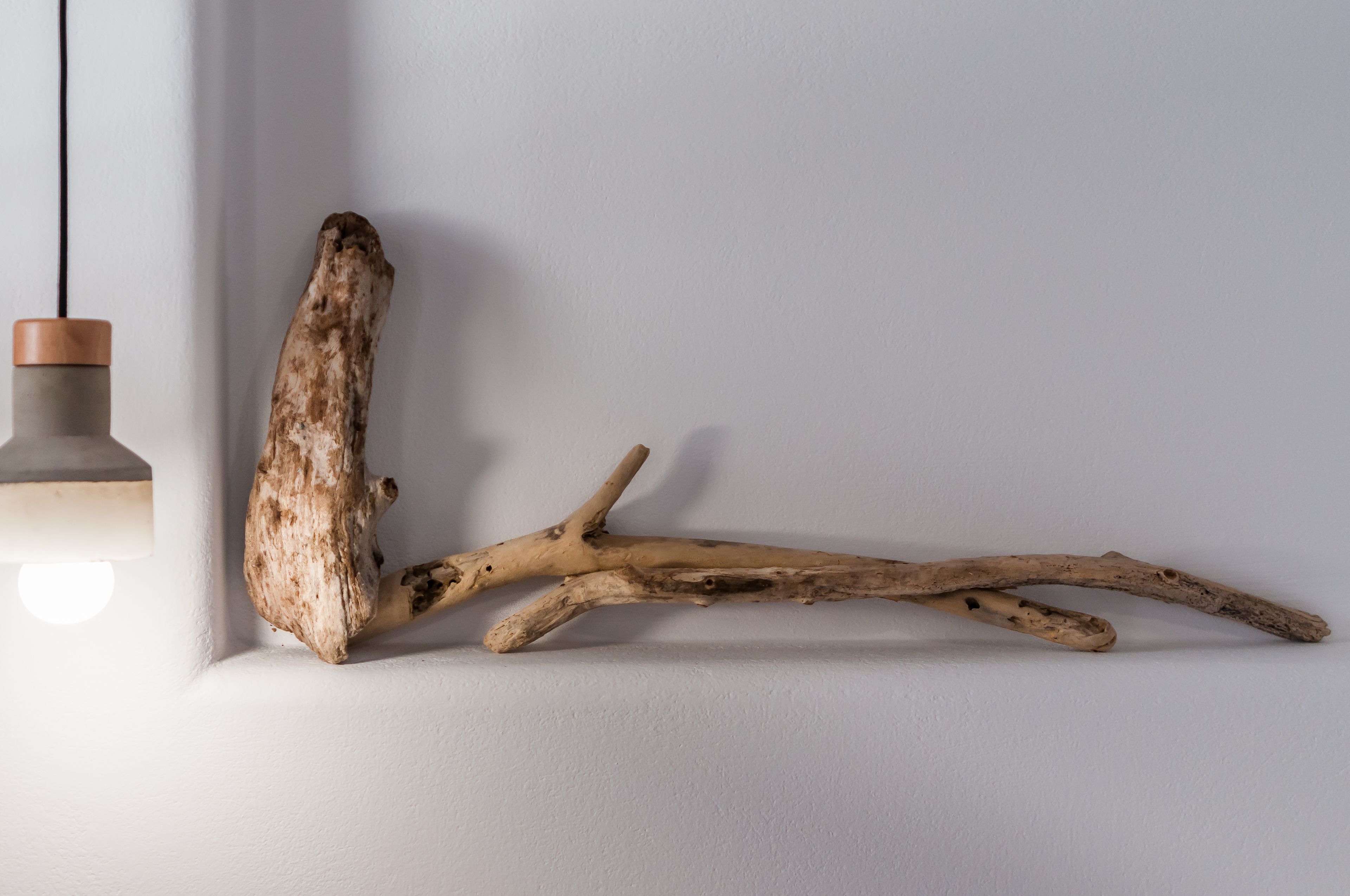 A piece of driftwood leaning against a white wall, next to a light fixture with a copper-colored base.
