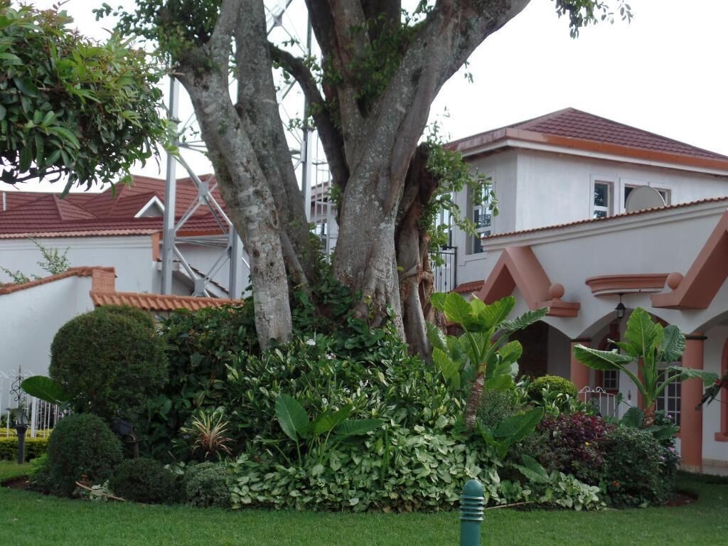 Foto - Villa Leone