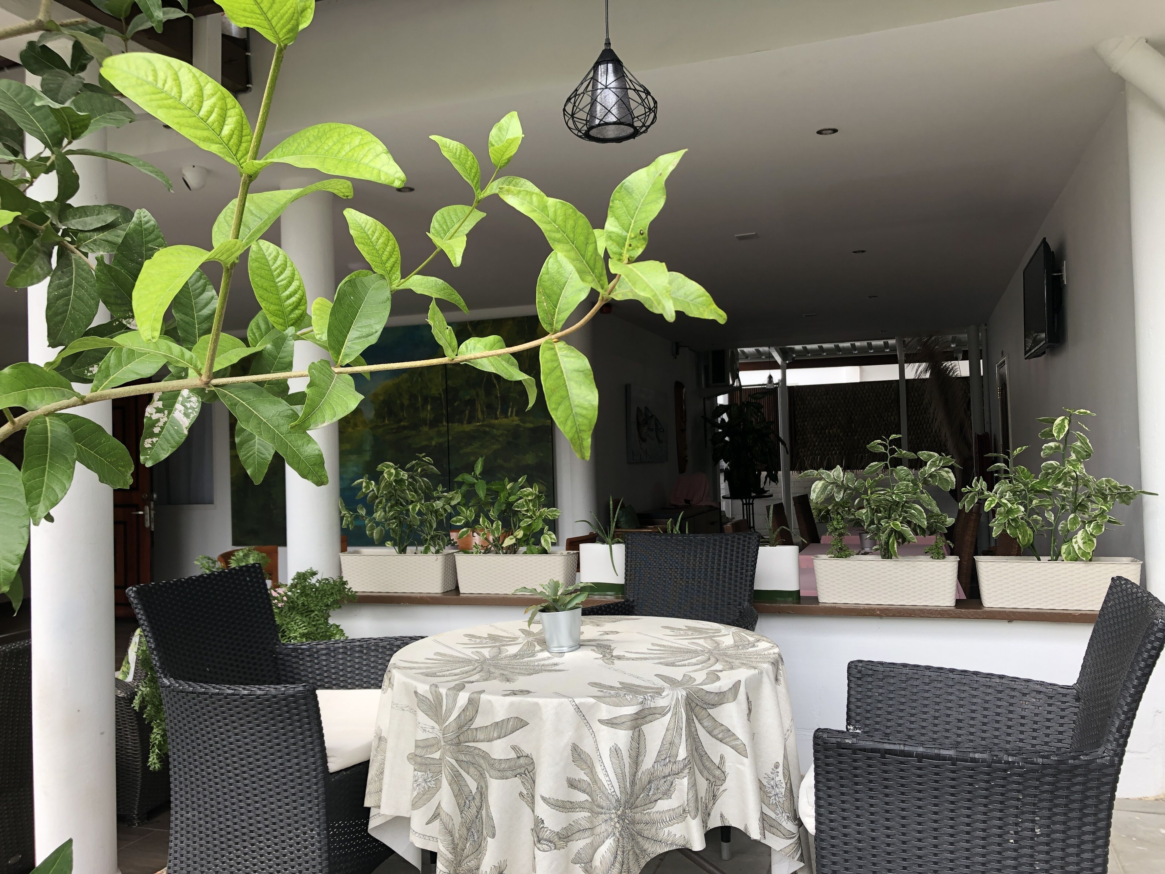 triple room | terrace/patio