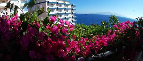 A coastal hotel with balconies overlooking the sea, surrounded by vibrant bougainvillea.