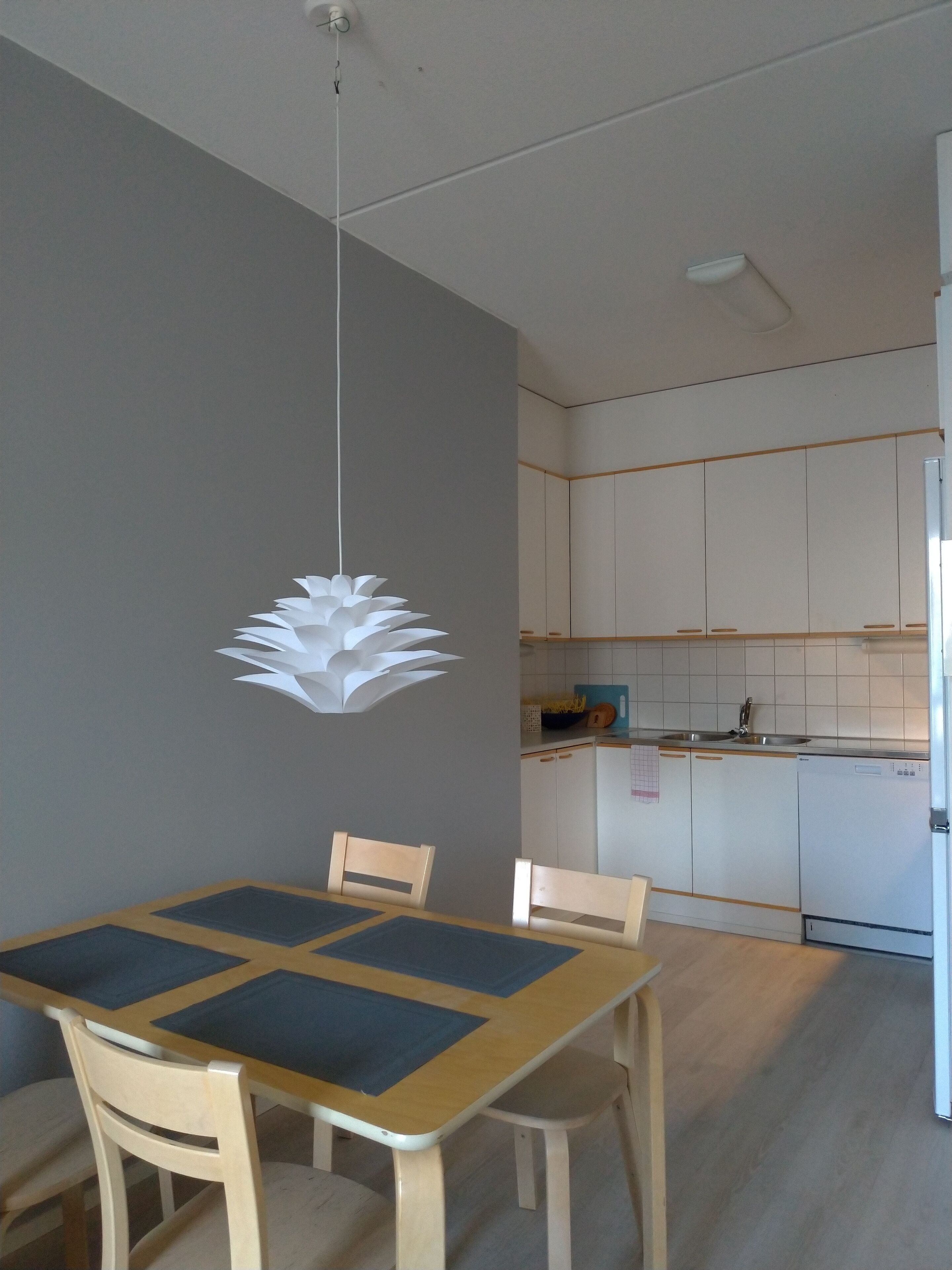 Deluxe Apartment, 1 Bedroom | Private kitchen | Fridge, microwave, oven, stovetop