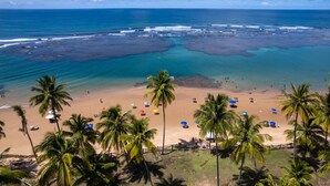 Una playa con palmeras, sombrillas y gente.
