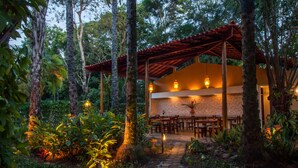 Un espacio comedor al aire libre con techado, mesas y sillas, rodeado de exuberante follaje y árboles.