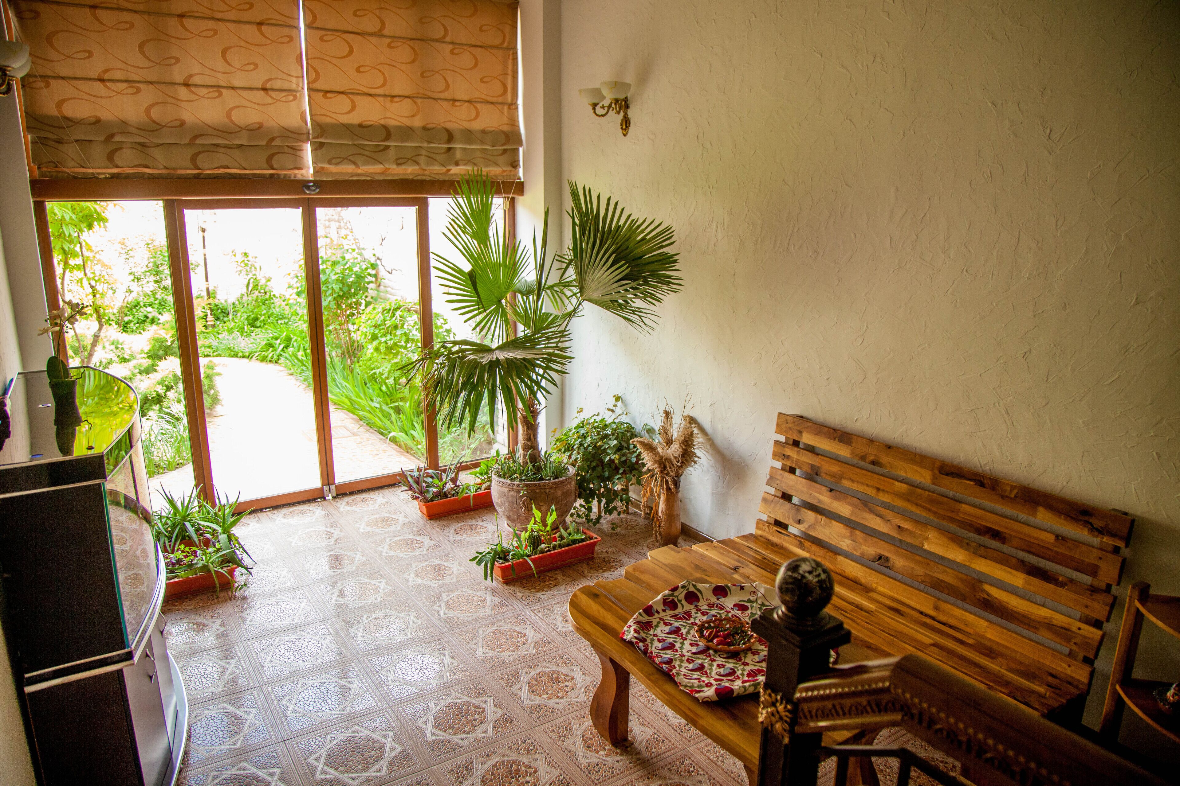 Photo - Platan