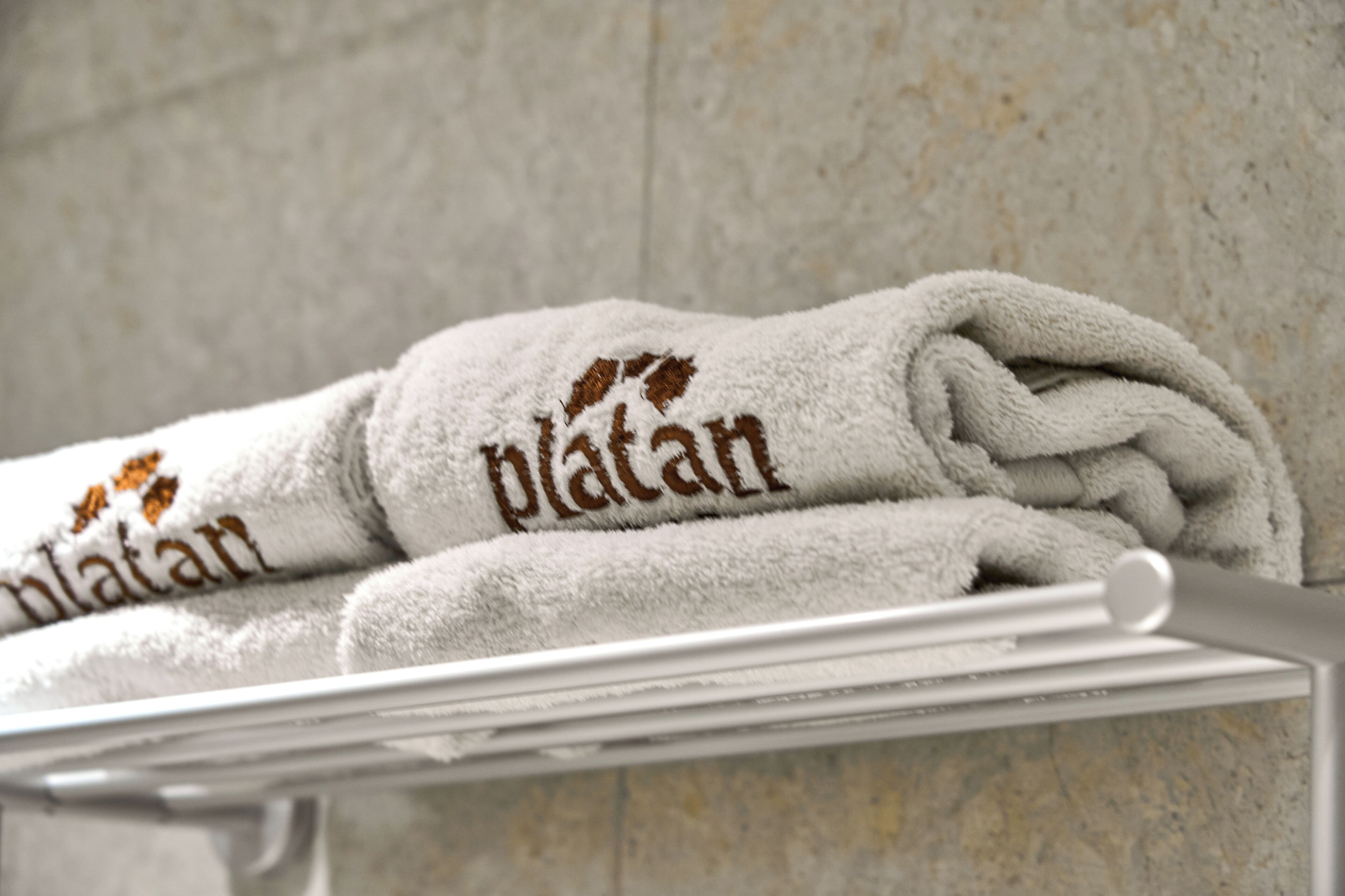 Foto - Platan