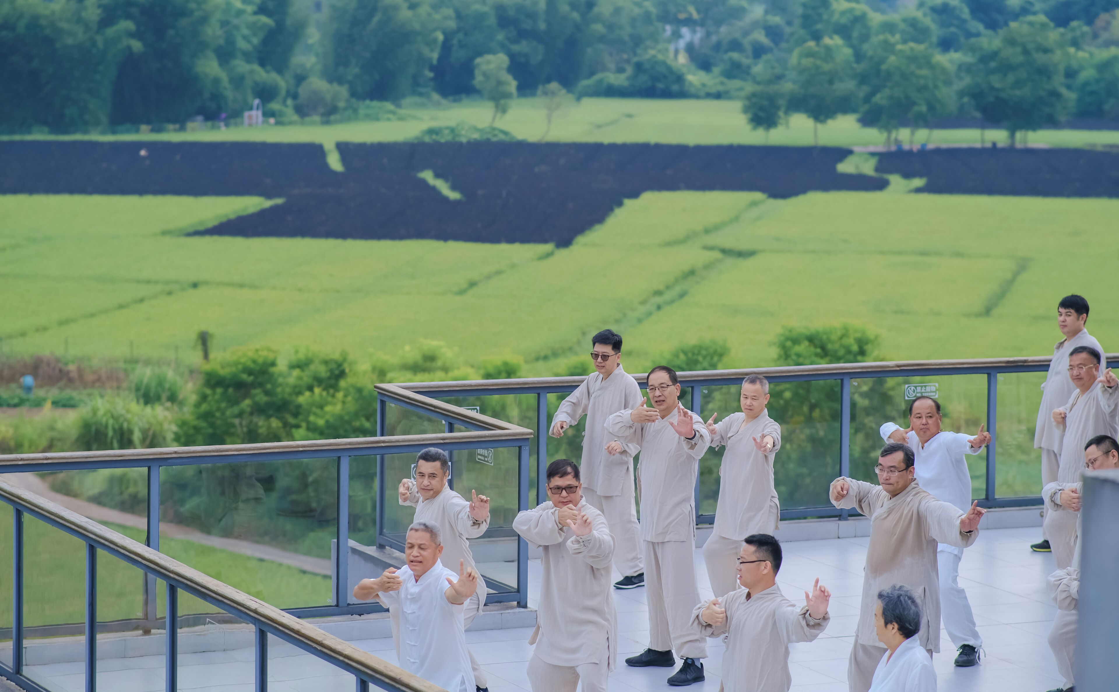 Un grupo de personas con vestimenta tradicional en un balcón, con vistas a un paisaje verde.