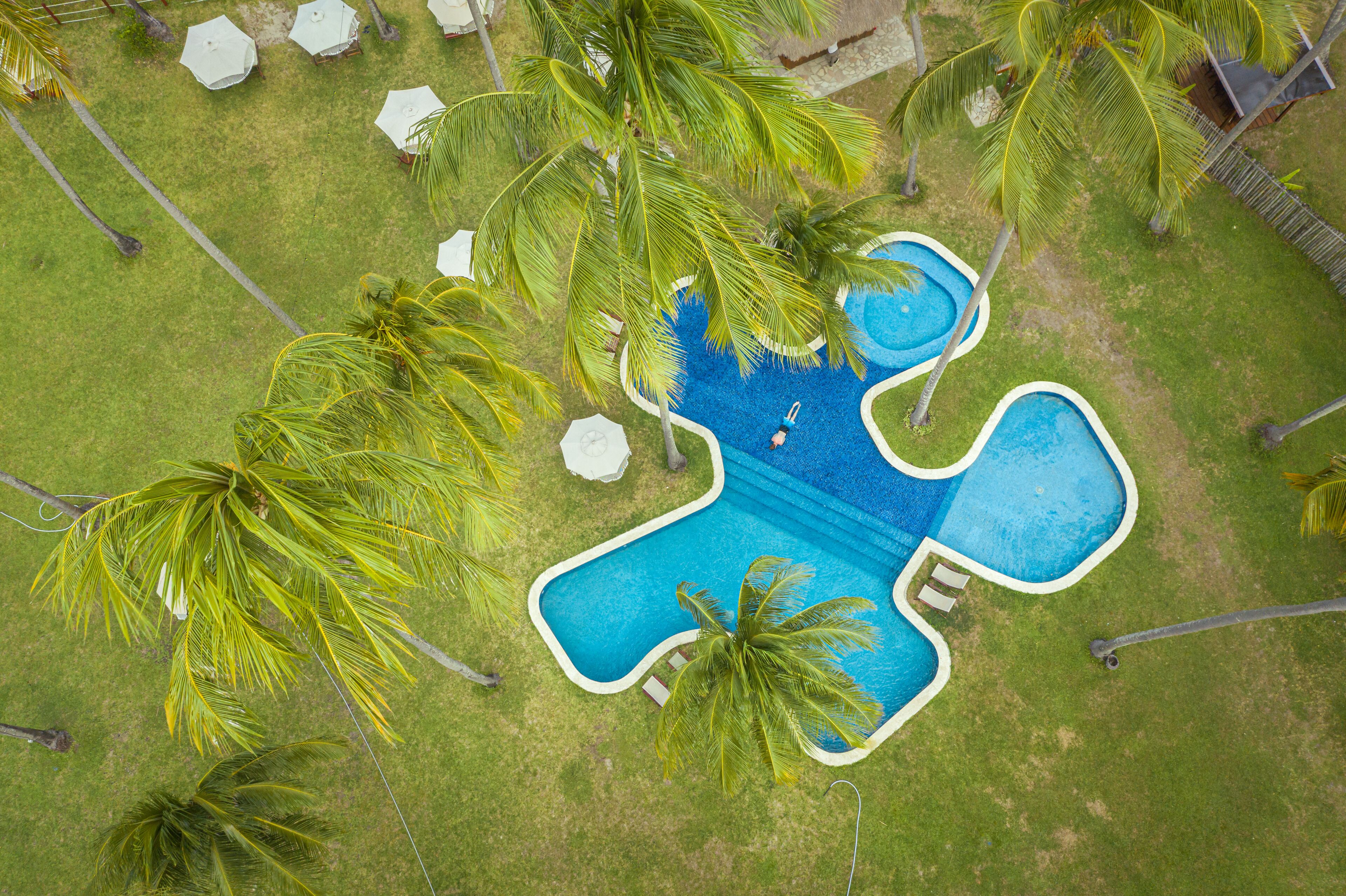 An aerial view of a swimming pool with a unique shape, surrounded by palm trees and grass.