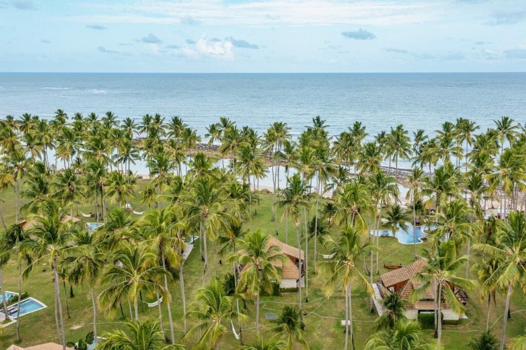 Um resort com piscina, palmeiras e vista para o mar.