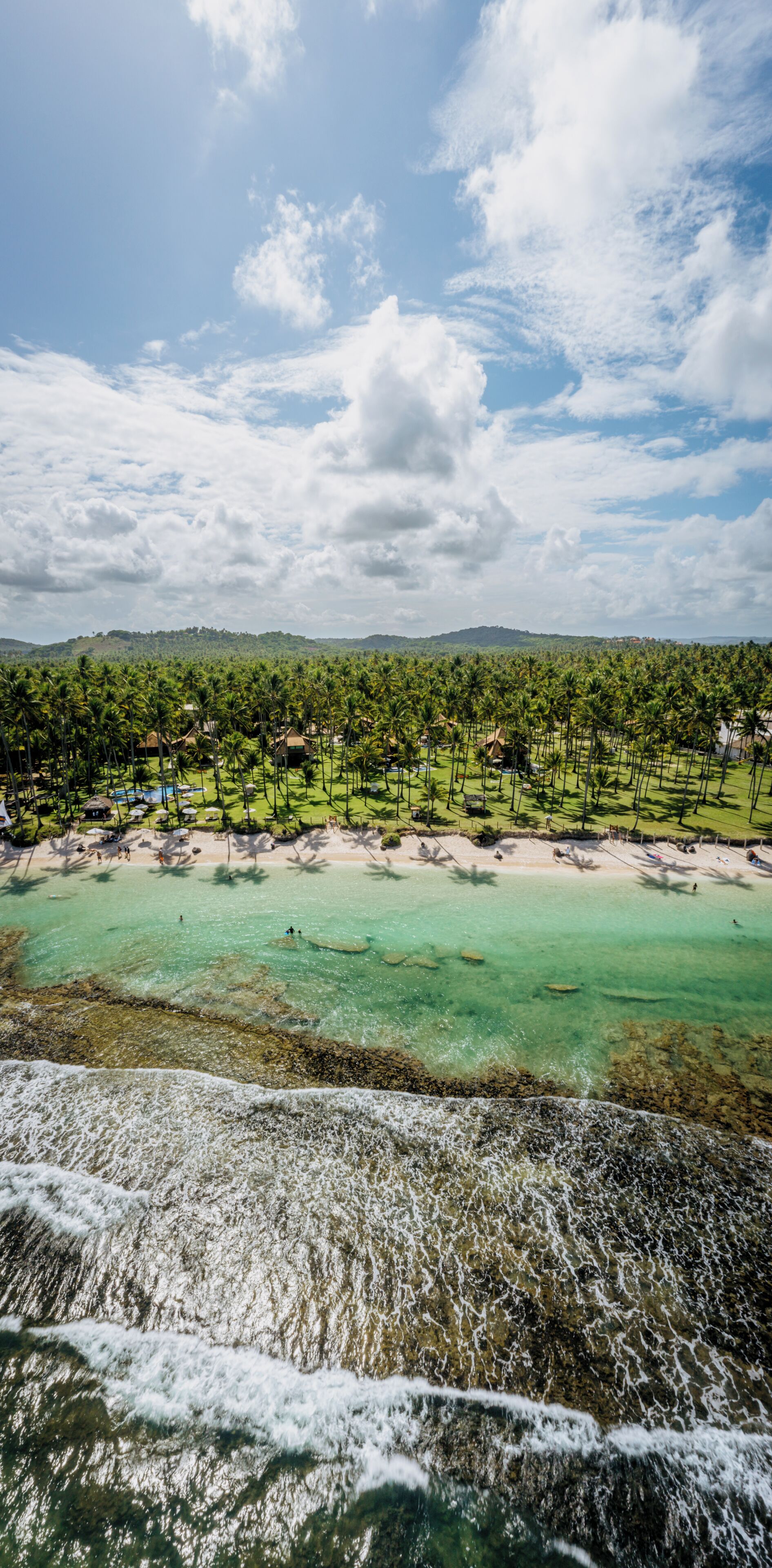 Un resort costero con playa, palmeras y vistas al océano.