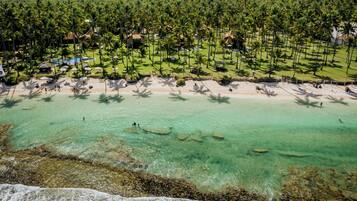 Un resort costero con playa, palmeras y vistas al océano.