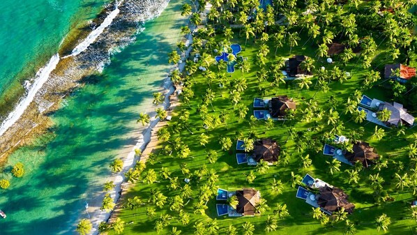 Ảnh chưa phân loại, 1 trong số 54 ảnh, nút