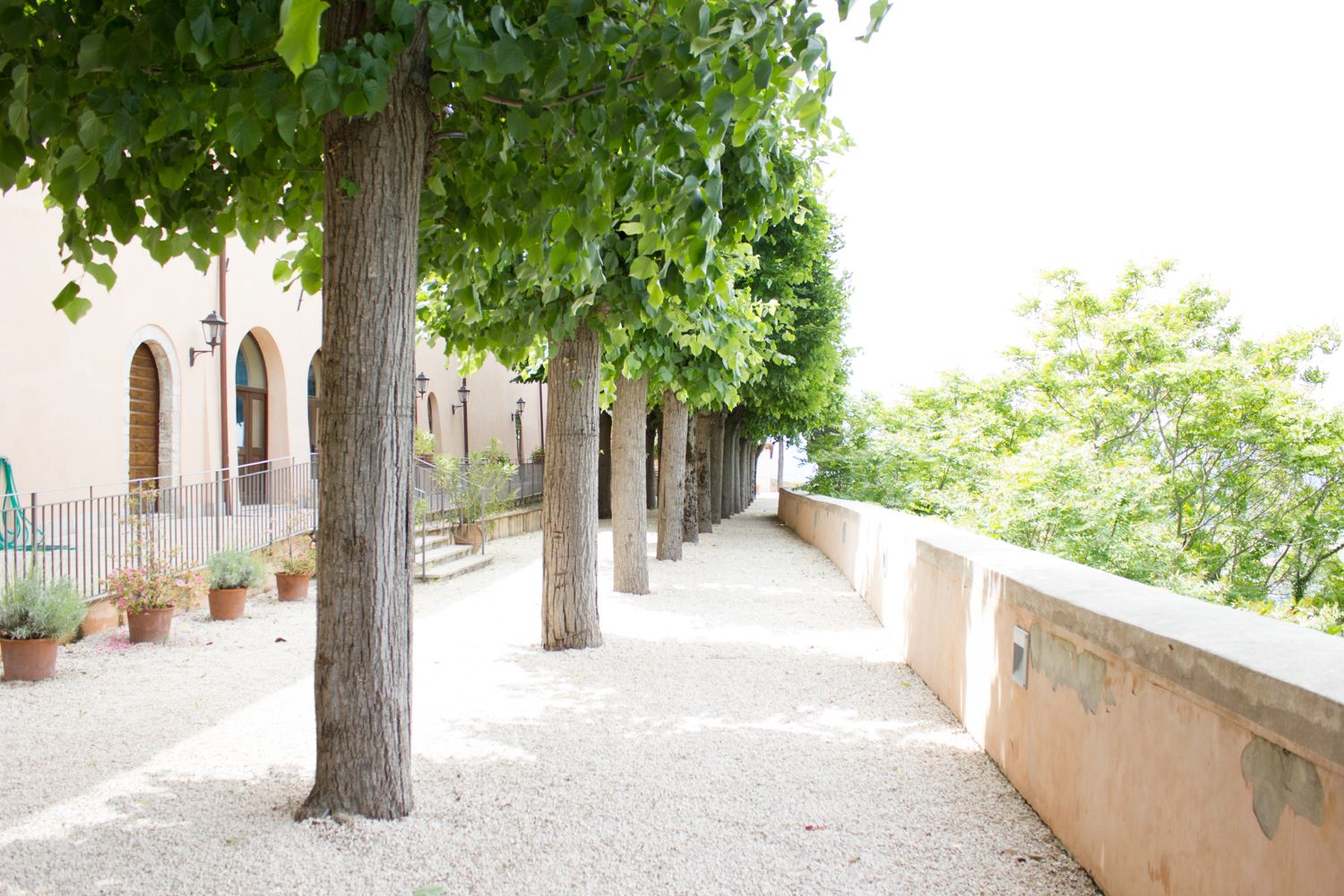 Parco della struttura