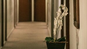 A hallway with a potted orchid on a wooden table. - Hotel Ferraz (Pouso Alegre)