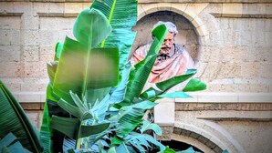 Estátua de uma figura histórica numa moldura em arco, rodeada por grandes folhas verdes.