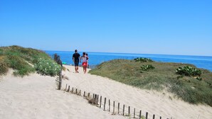 Un sentier sablonneux qui mène à la plage, sous un ciel bleu et dégagé.