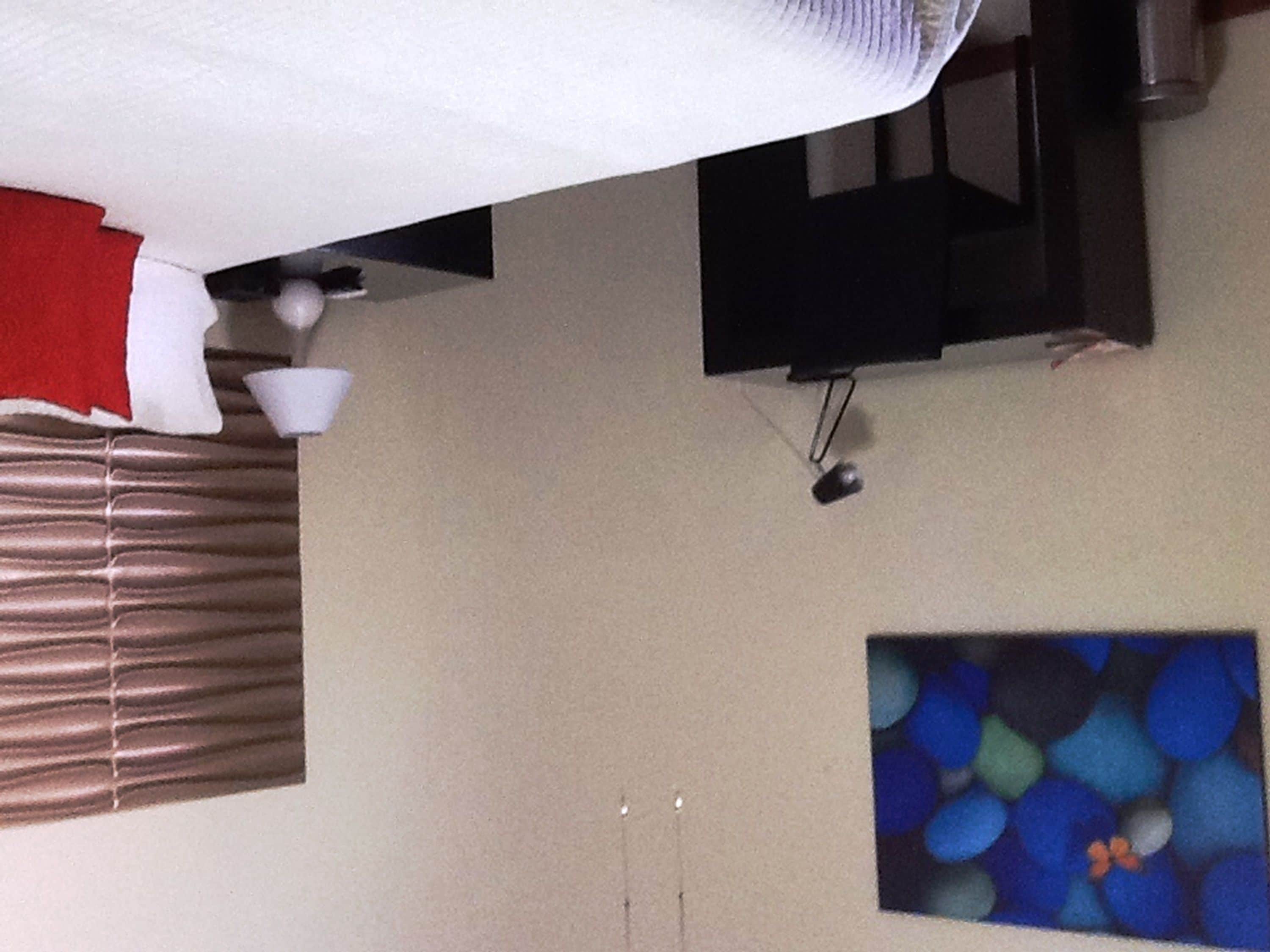 A room with a ceiling fan, a television mounted on the wall, a window with blinds, and a painting on the wall.
