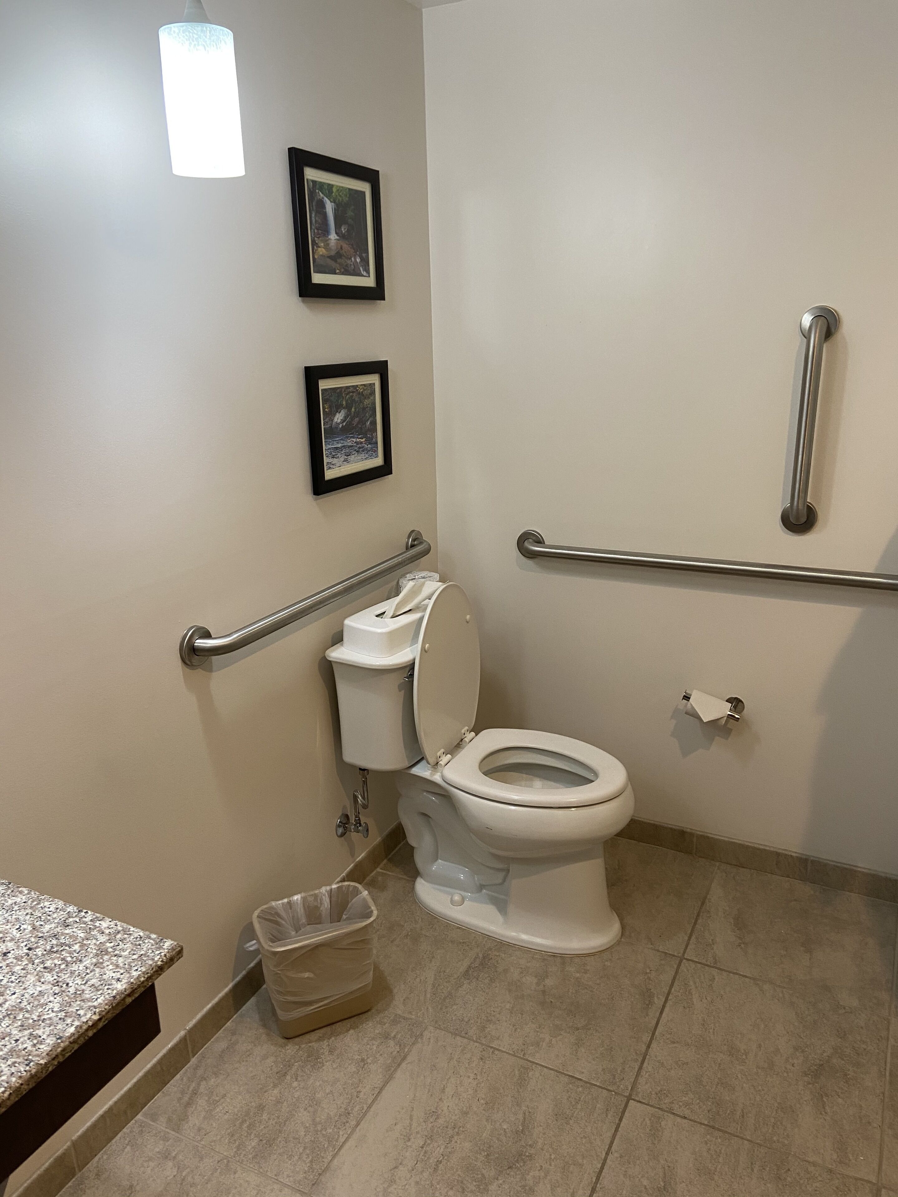 A bathroom with a white toilet, grab bars, a trash bin, and two framed pictures on the wall.