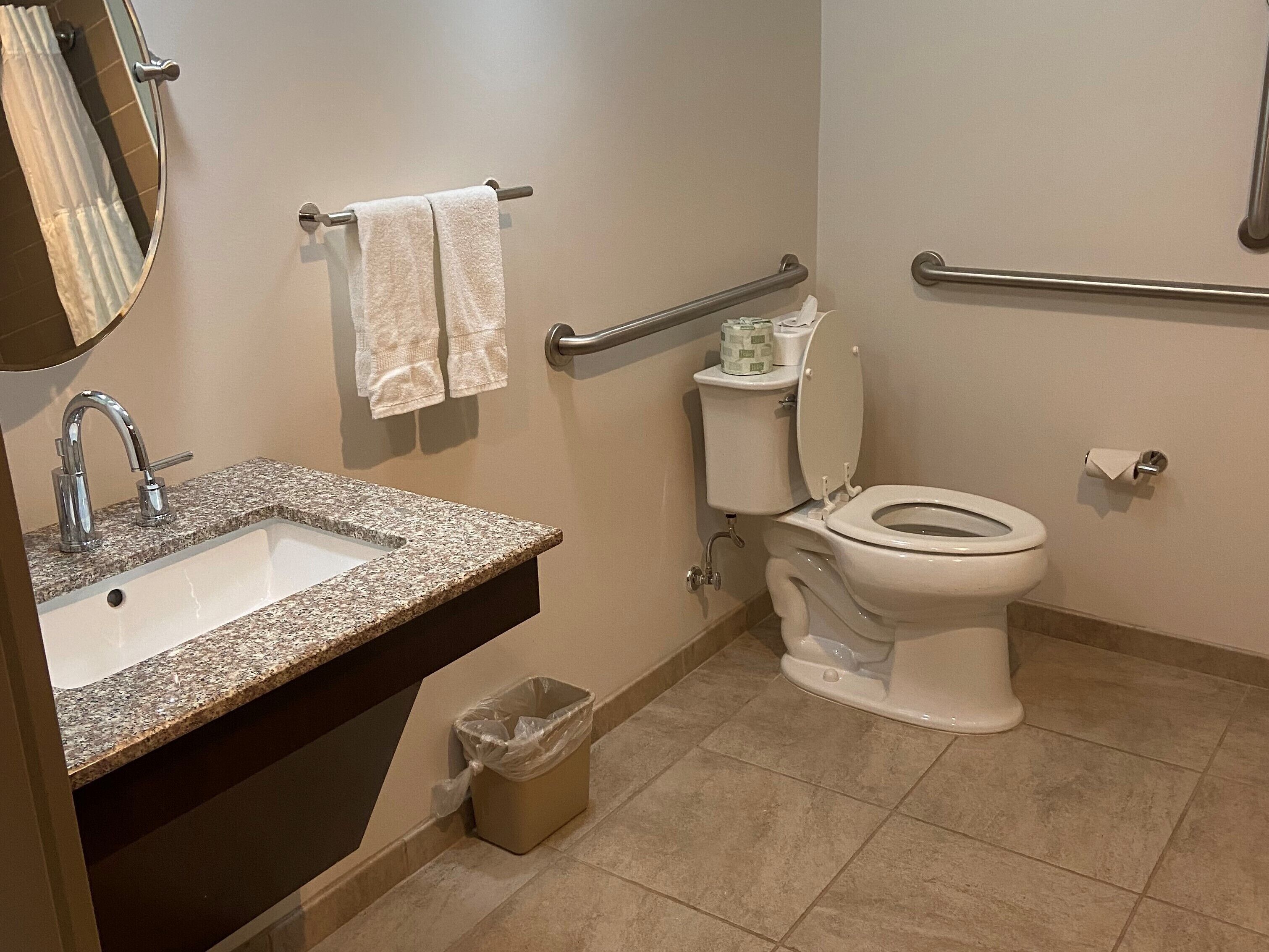 A bathroom with a sink, toilet, and handrails.