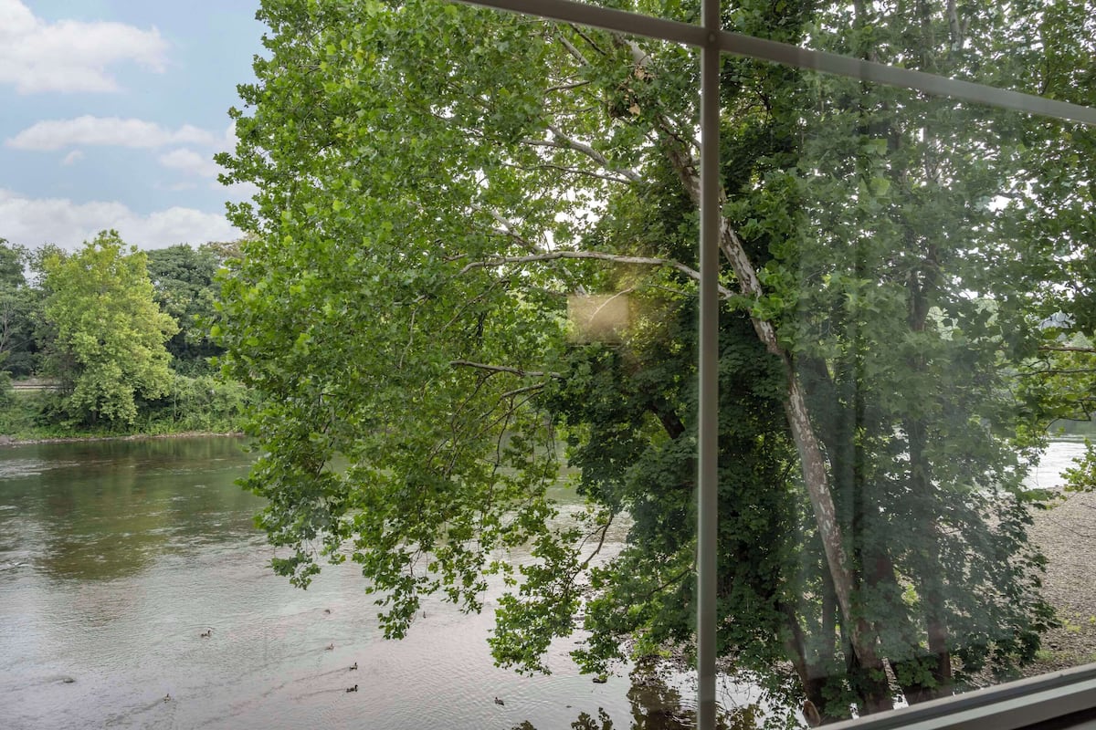 A view of a river with trees and a metal structure in the foreground.