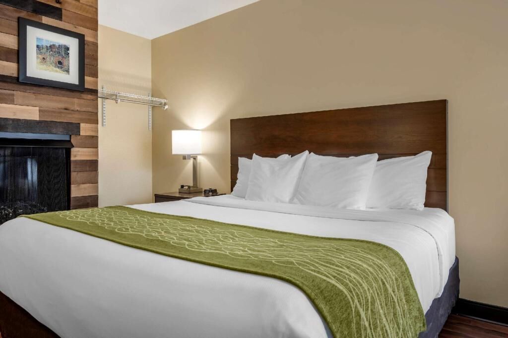 Premium bedding, in-room safe, desk, blackout drapes