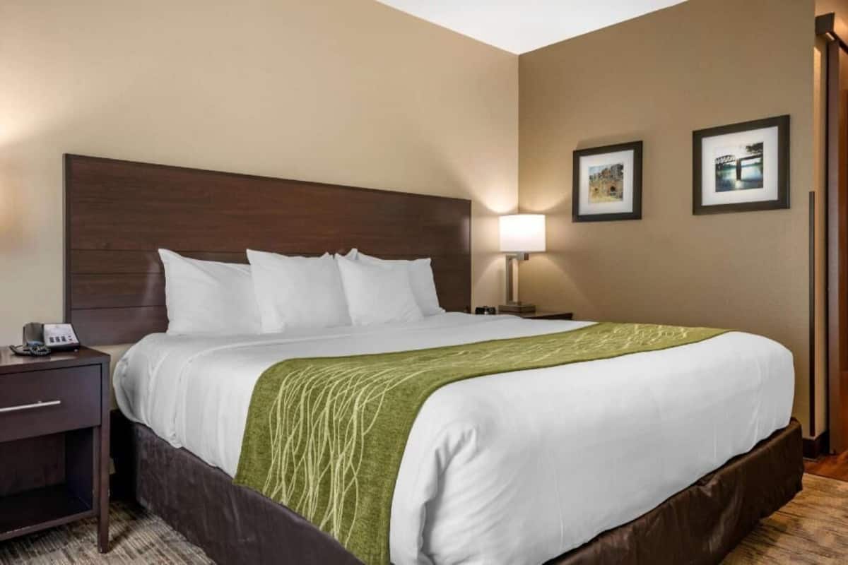 Premium bedding, in-room safe, desk, blackout drapes