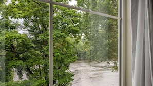 A view through a window of a river surrounded by dense green foliage.