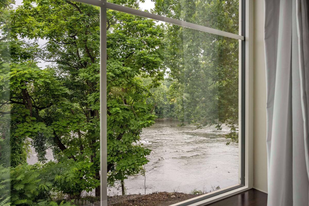 A view through a window of a river surrounded by dense green foliage.