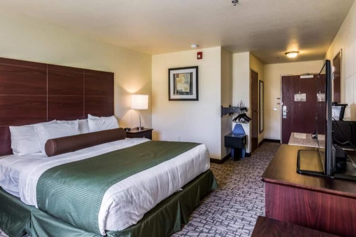 Premium bedding, down comforters, in-room safe, desk