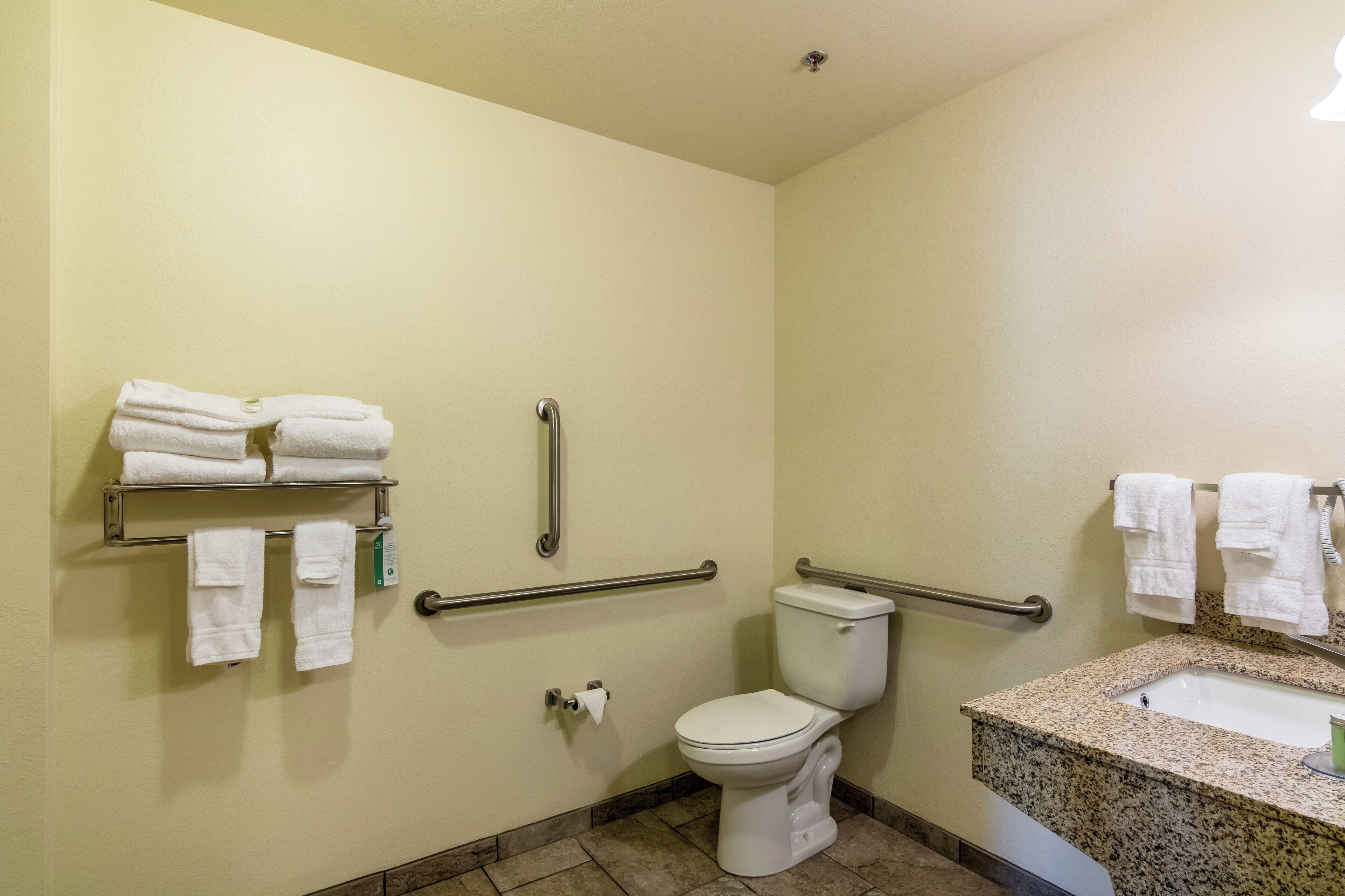 suite, 1 king bed, accessible, non smoking | accessible bathroom
