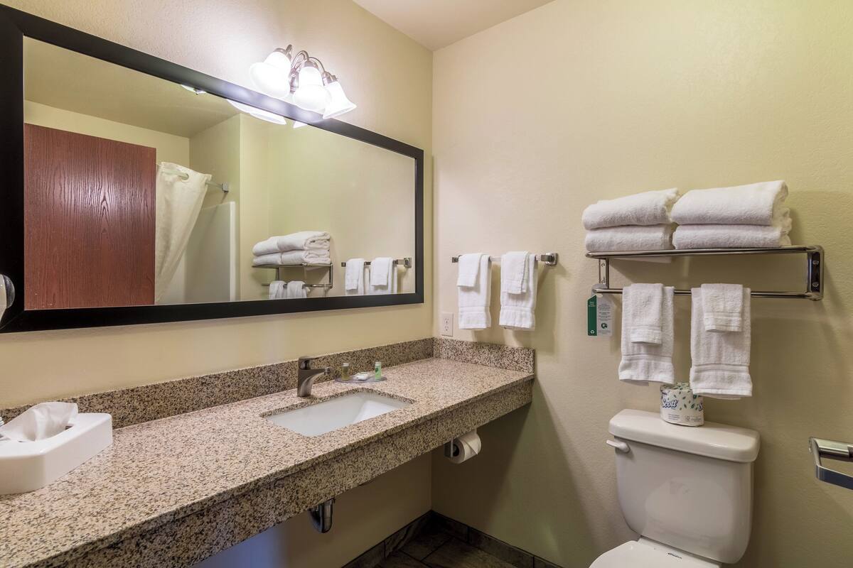 1 bedroom, premium bedding, down duvets, in-room safe