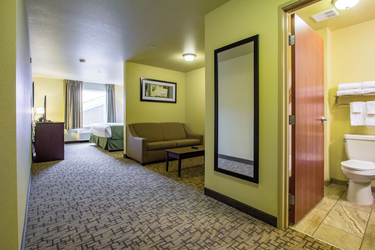Une chambre d’hôtel avec un tapis à motifs, un canapé, une petite table, un grand miroir, des toilettes et une fenêtre avec des rideaux.
