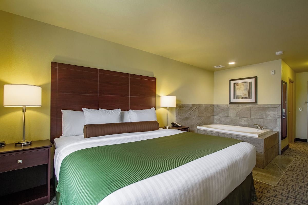 Une chambre d’hôtel avec un grand lit, deux lampes de chevet, une table de chevet, une couvre-lit verte, un mur en marbre, un tableau encadré, une salle de bain avec baignoire et un sol carrelé.