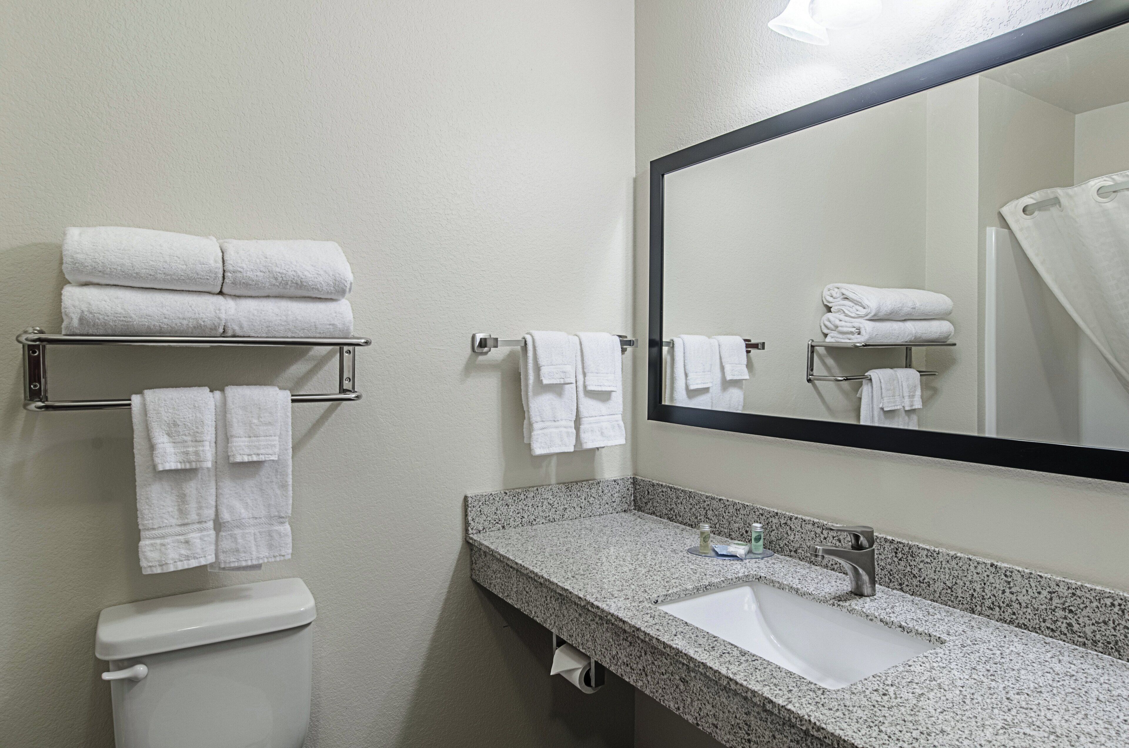 combined shower/bathtub, free toiletries, hair dryer, towels