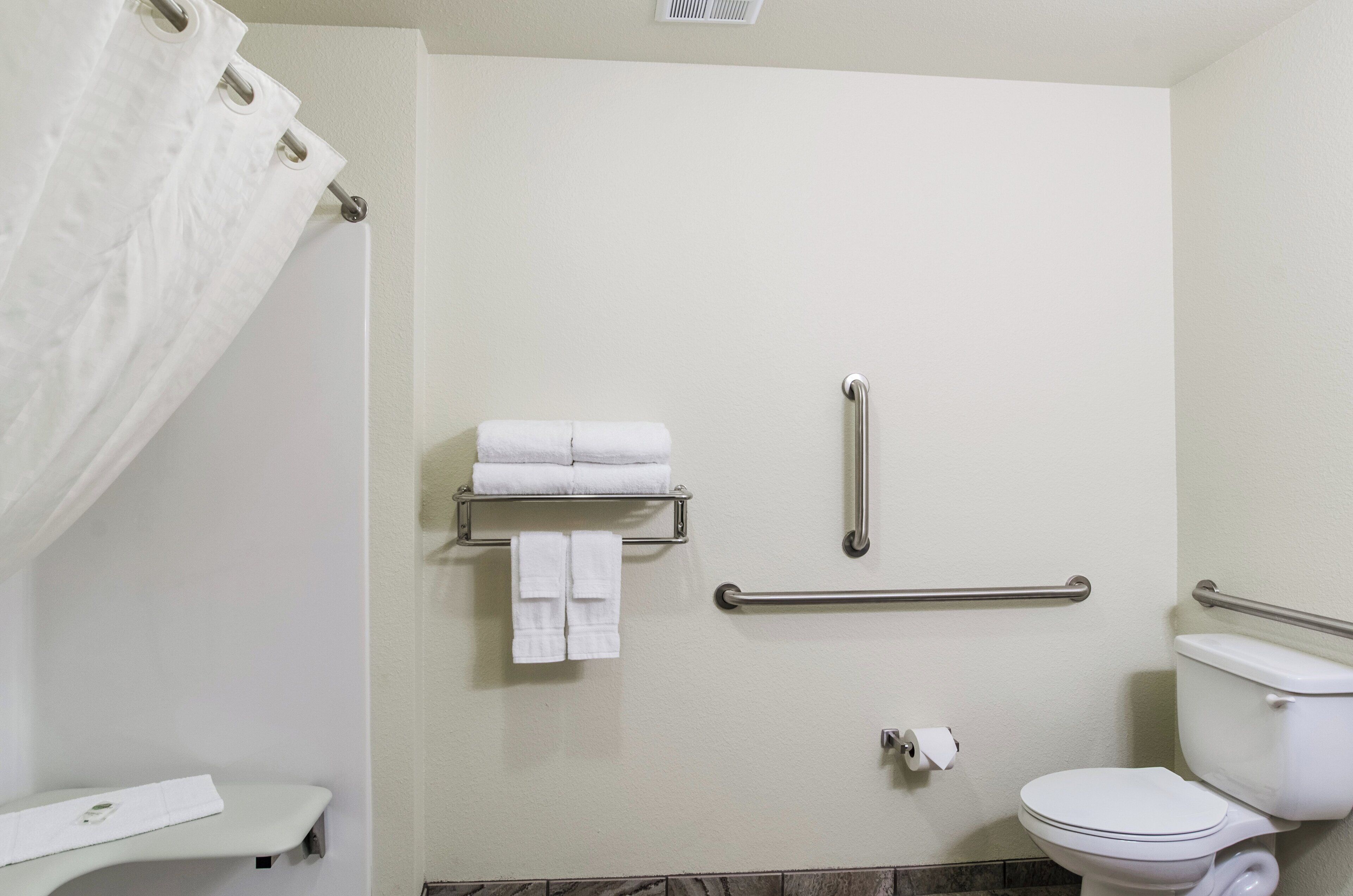 suite, 1 king bed with sofa bed, accessible roll in shower, non smoking | accessible bathroom