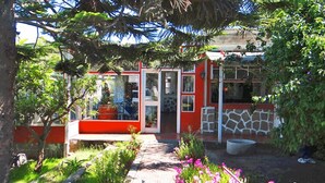 Un edificio rojo y blanco con puerta de vidrio, rodeado por un jardín con diversas plantas y flores.